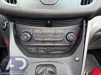Ford Kuga Kuga II (DM2), SUV, 2012 1.5 EcoBoost 16V 182 4x4 picture 14