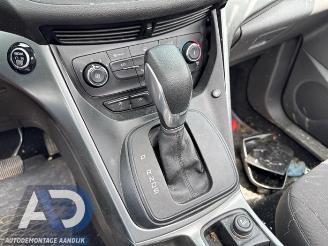 Ford Kuga Kuga II (DM2), SUV, 2012 1.5 EcoBoost 16V 182 4x4 picture 15