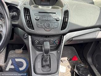 Ford Kuga Kuga II (DM2), SUV, 2012 1.5 EcoBoost 16V 182 4x4 picture 13