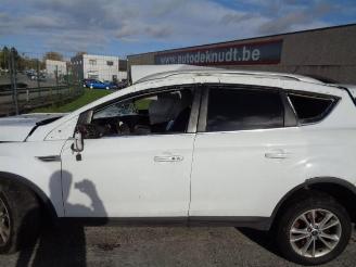 Ford Kuga 2.0 TDCI  UKDA picture 6