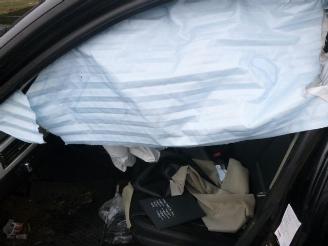 BMW 3-serie N47D20C picture 21