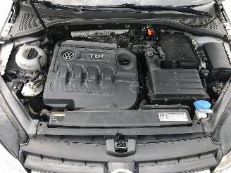 Volkswagen Golf 1.6 TDI        CLH picture 11