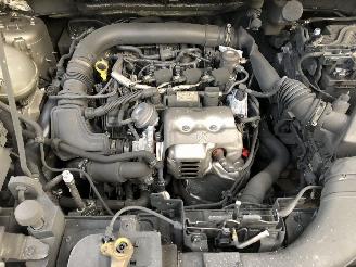 Ford EcoSport 1.0 ECO M1JJ M1JC picture 13
