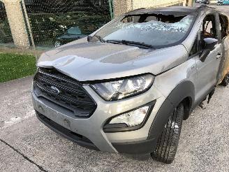 Ford EcoSport 1.0 ECO M1JJ M1JC picture 4