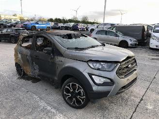 Ford EcoSport 1.0 ECO M1JJ M1JC picture 2