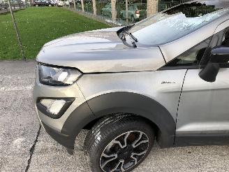 Ford EcoSport 1.0 ECO M1JJ M1JC picture 11