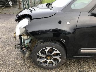 Fiat 500L 1.4 I   843A1000 picture 15