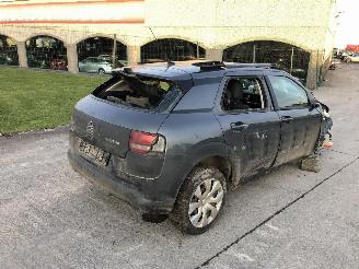 Citroën C4 cactus 1.2 HMZ picture 2