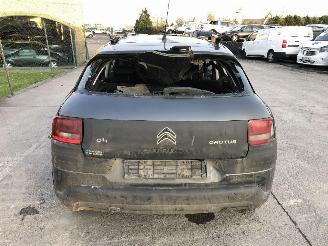 Citroën C4 cactus 1.2 HMZ picture 17