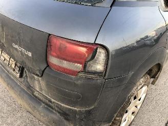 Citroën C4 cactus 1.2 HMZ picture 13