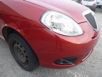 Lancia Ypsilon 1.3 MULTIJET picture 16