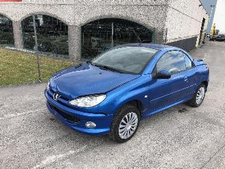 damaged passenger cars Peugeot 206+ 1.6 2004/7