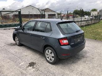 Voiture accidenté Skoda Fabia ACTIVE 1.0 2020/3