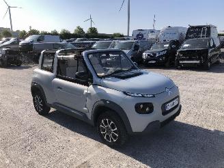 Citroën E-Mehari CABRIOLET picture 14