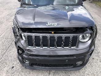 Jeep Renegade LIMITED picture 9