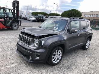 Jeep Renegade LIMITED picture 3
