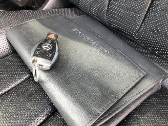 Mercedes E-klasse SPORT AMG picture 20