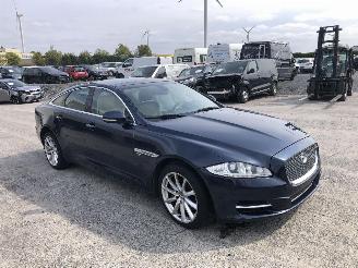Vaurioauto  passenger cars Jaguar XJ 3.0 D  V6 2011/3