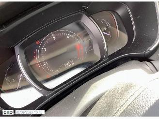 Renault Koleos INITIALE PARIS picture 25