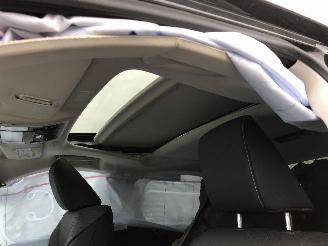 Lexus ES ES300H picture 7
