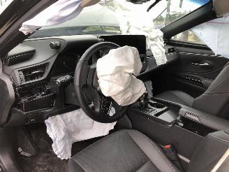 Lexus ES ES300H picture 5