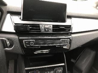 BMW 2-serie XE  IPERFORMANCE picture 12