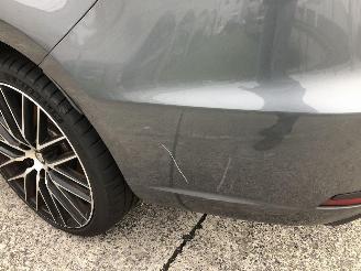 Seat Leon 2.0 TSI picture 18