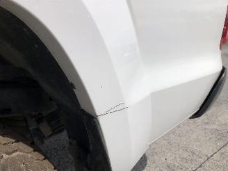 Volkswagen Amarok 3.0 TDI V6 picture 20