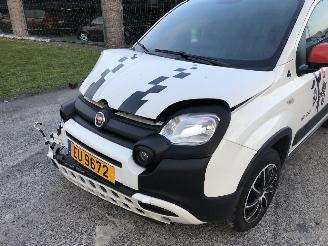 Fiat Panda CITY CROSS picture 12