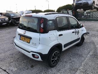 Fiat Panda CITY CROSS picture 4