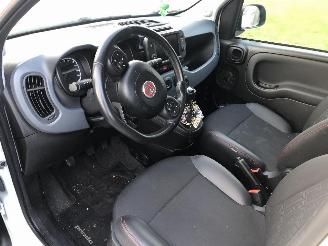 Fiat Panda CITY CROSS picture 5