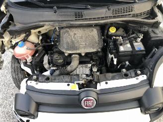 Fiat Panda CITY CROSS picture 18