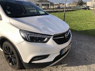 Opel Mokka 1.6  CDTI B16DTU picture 13