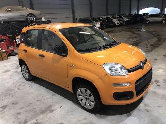  Fiat Panda 1.2 POP 2019/2
