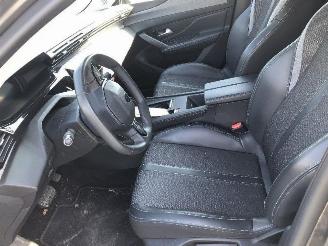 Peugeot 308 1.6 hybride picture 12