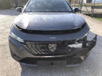 Peugeot 308 1.6 hybride picture 22