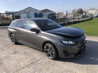 Peugeot 308 1.6 hybride picture 23
