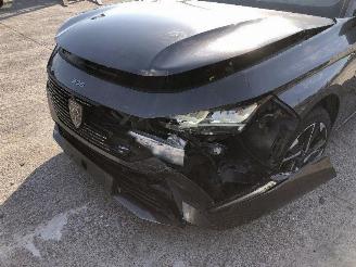 Peugeot 308 1.6 hybride picture 21