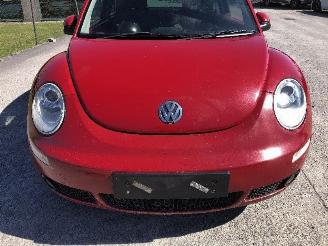 Volkswagen Beetle 1.6 I   BFS picture 8