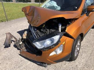 Ford EcoSport 1.0 ECOBOOST picture 10