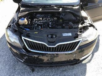 Skoda Rapid 1.6 tdi picture 19