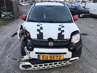 Fiat Panda 1.0 CITY CROSS picture 9