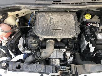 Fiat Panda 1.0 CITY CROSS picture 19