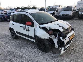 Fiat Panda 1.0 CITY CROSS picture 2