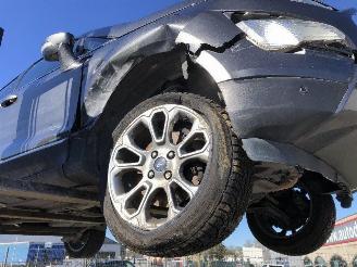 Ford EcoSport 1.0 ECOBOOST picture 15