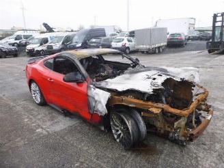 Ford Mustang  picture 4