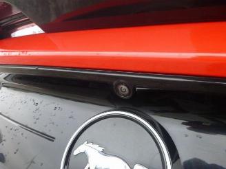 Ford Mustang  picture 9