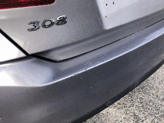 Peugeot 308 1.6 hdi picture 19