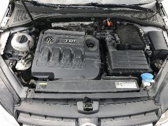 Volkswagen Golf 1.6 TDI picture 11