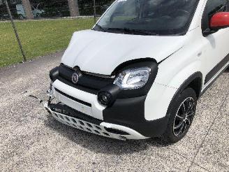Fiat Panda 1.0 CITY CROSS picture 11